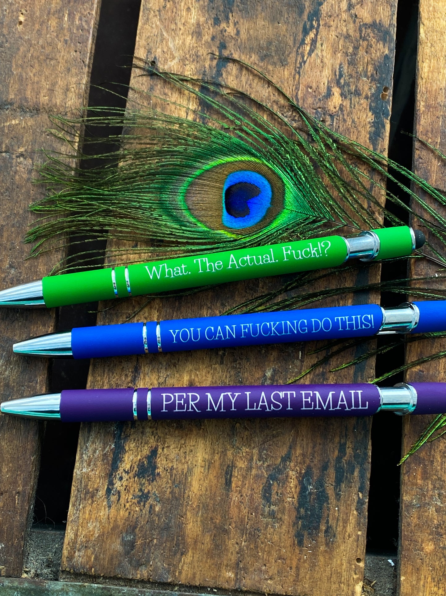 A Set of 2 Personalized Pens with Stylus, Snarky Office Humor, Funny Work Gift, Per My Last Email, Gifts for Office, You Can Do It, Motivate