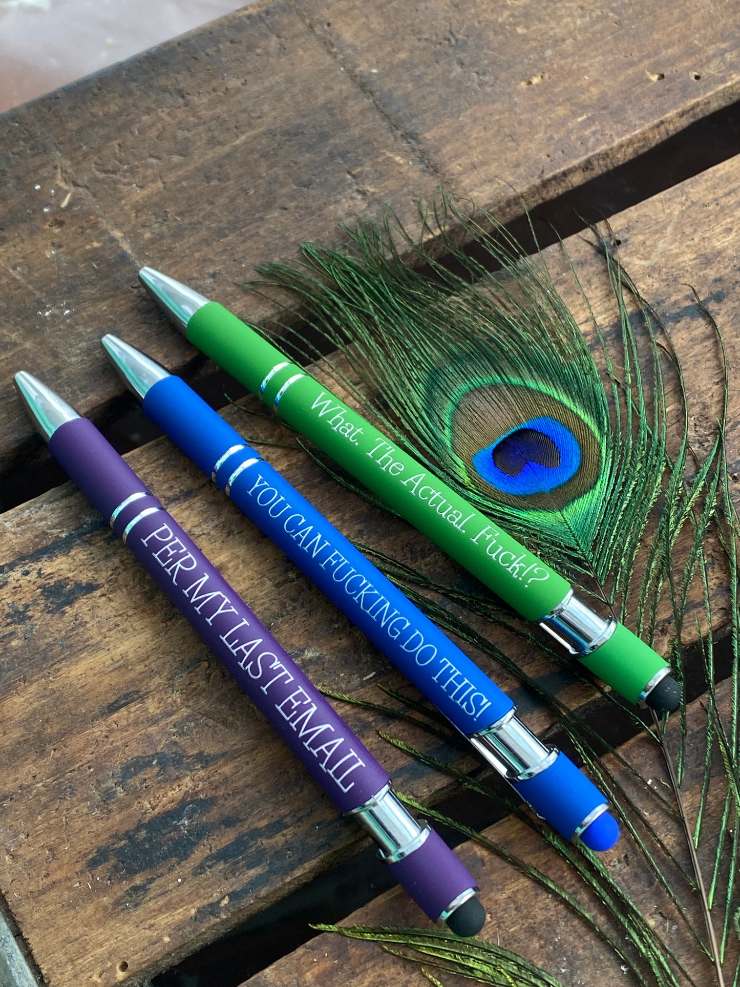 A Set of 2 Personalized Pens with Stylus, Snarky Office Humor, Funny Work Gift, Per My Last Email, Gifts for Office, You Can Do It, Motivate