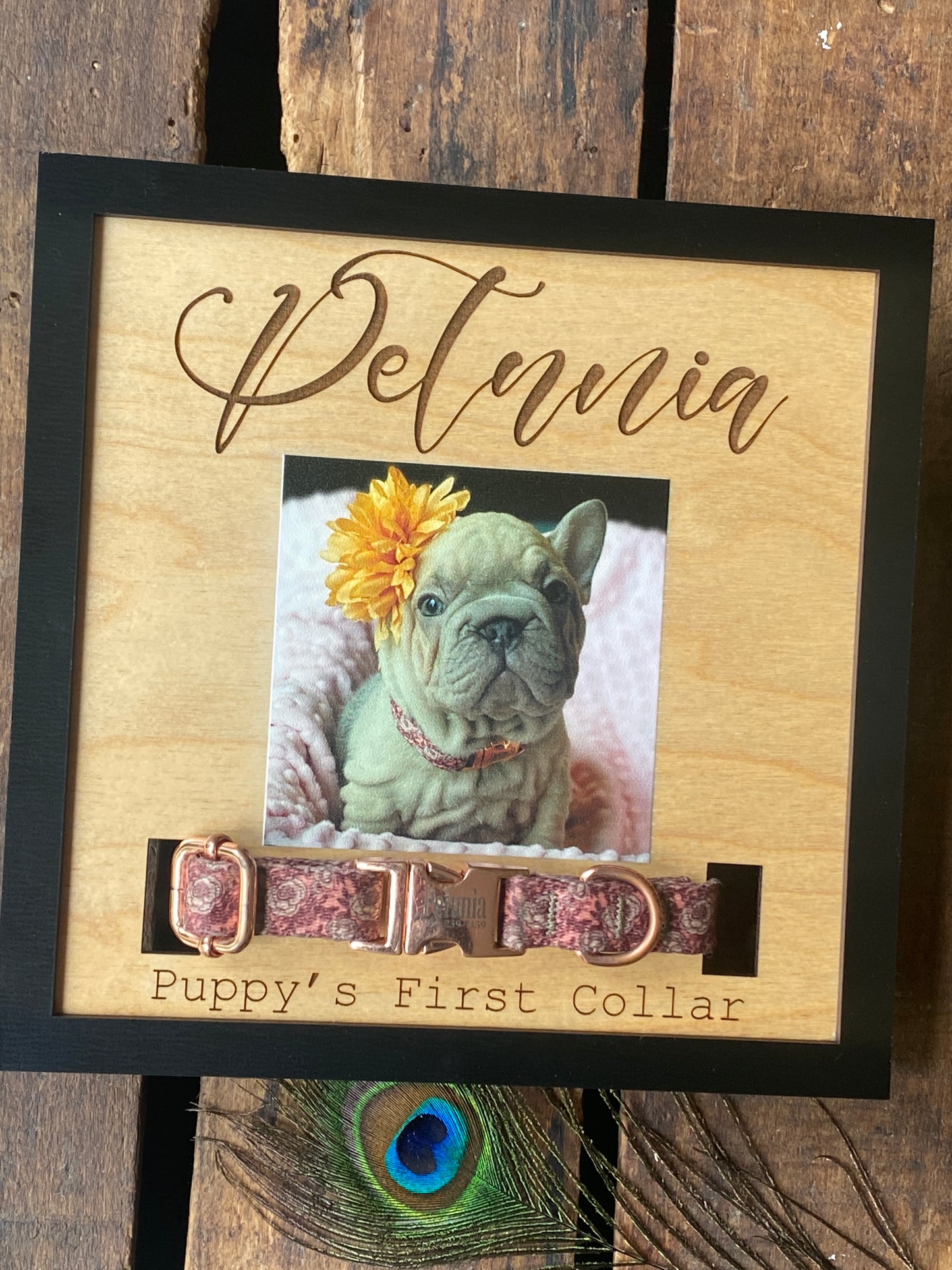 Personalized Puppy Collar Holder, New Puppy, Dog Print Picture Frame, Collar Remembrance, Dog Mom Gift, Fur Baby, Cute Sign Plaque