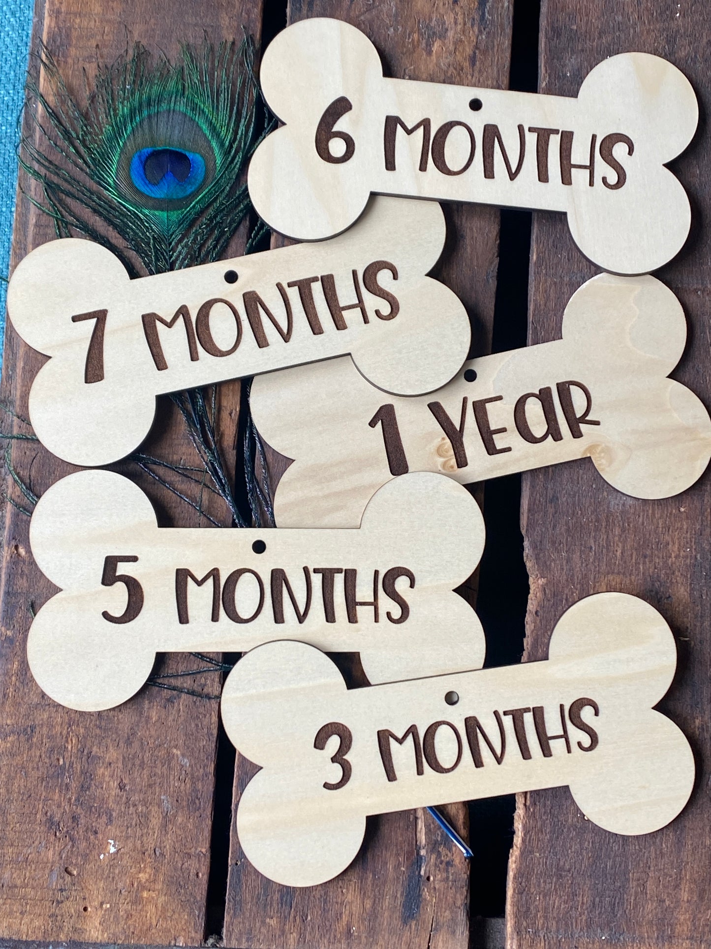 Puppy Milestone Cards, Puppy Milestone Photo Prop, New Puppy Gift, Bone Shaped Dog Tag, Puppy Growth Chart, Baby Dog Gift, Wooden Dog Bone