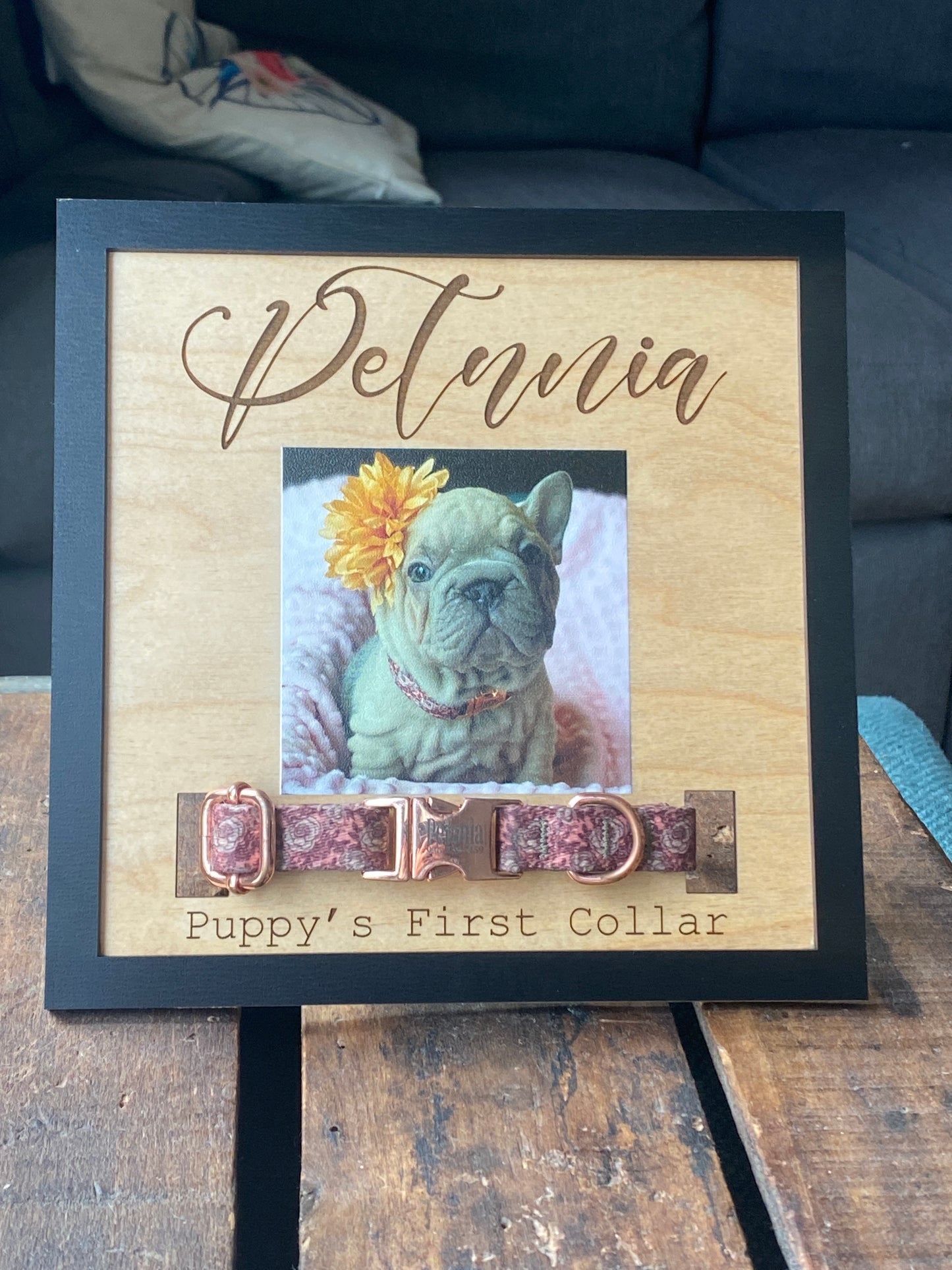Personalized Puppy Collar Holder, New Puppy, Dog Print Picture Frame, Collar Remembrance, Dog Mom Gift, Fur Baby, Cute Sign Plaque