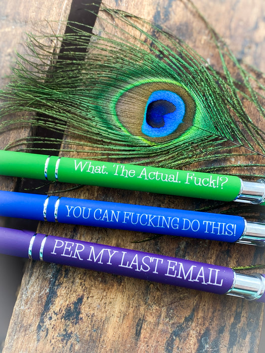 A Set of 2 Personalized Pens with Stylus, Snarky Office Humor, Funny Work Gift, Per My Last Email, Gifts for Office, You Can Do It, Motivate
