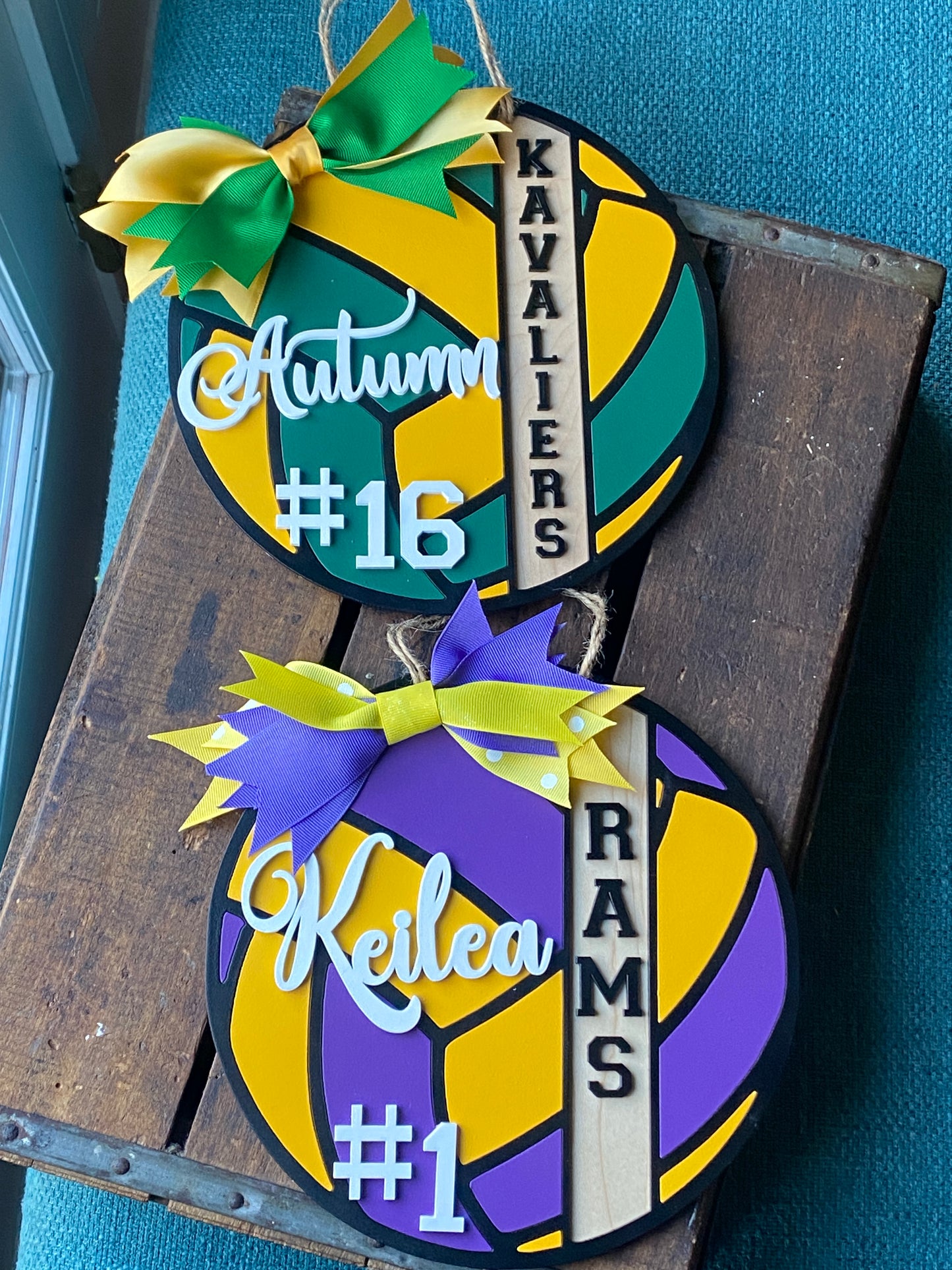 Volleyball Sports Signs