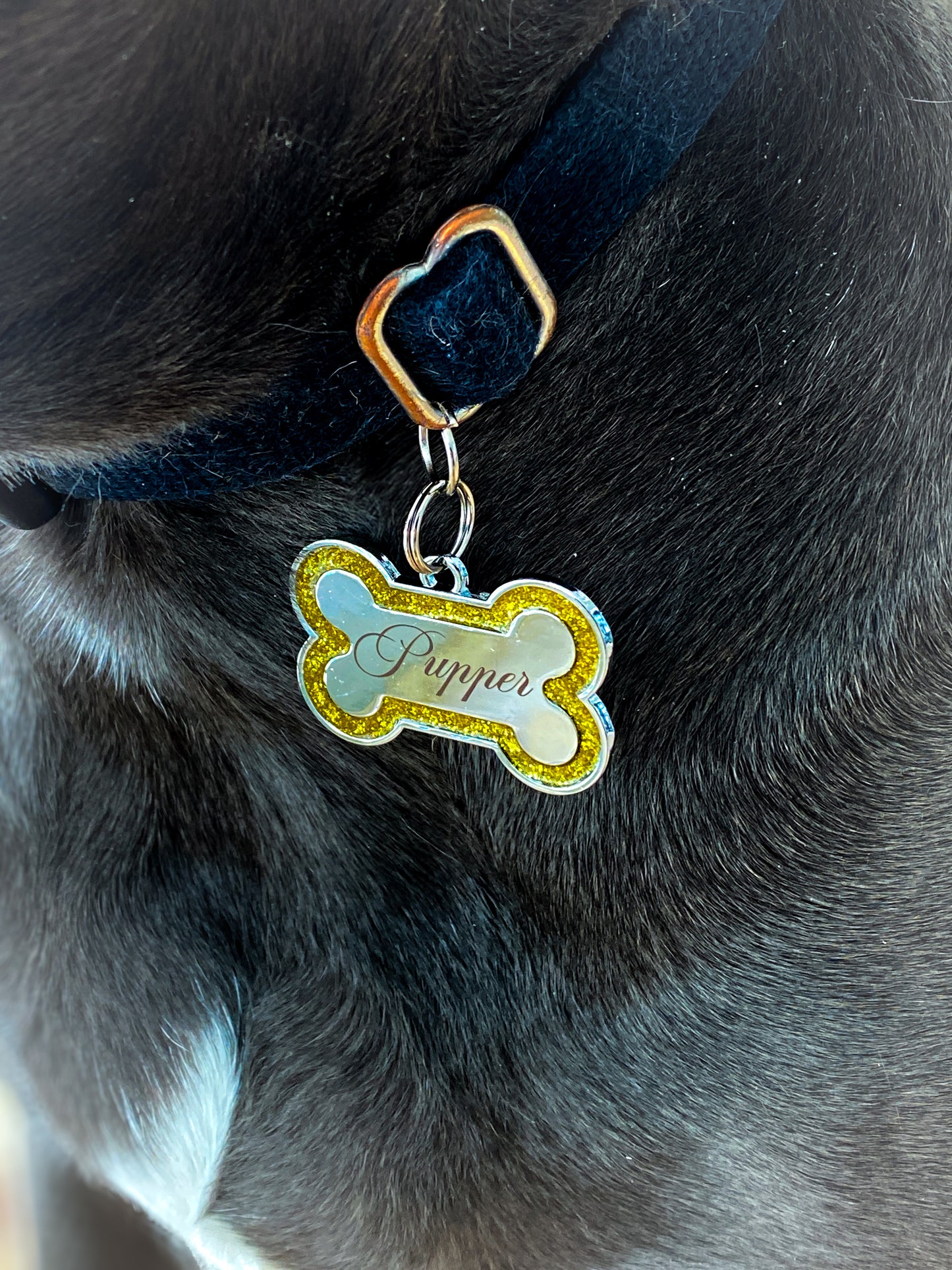 Dog Tags Engraved for Pets, Personalized Dog Tag with Name & Text, Dog Collar Custom Glitter Dog Name Tag, Bone Shaped ID Tag for Puppy Pets