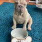 Personalized Wood Crate Sign, Personalized Pet Gift, Custom Pet Name Sign, Dog Bone Sign, Dog Kennel Name Tag, Dog Room Decor, Labels, Pet