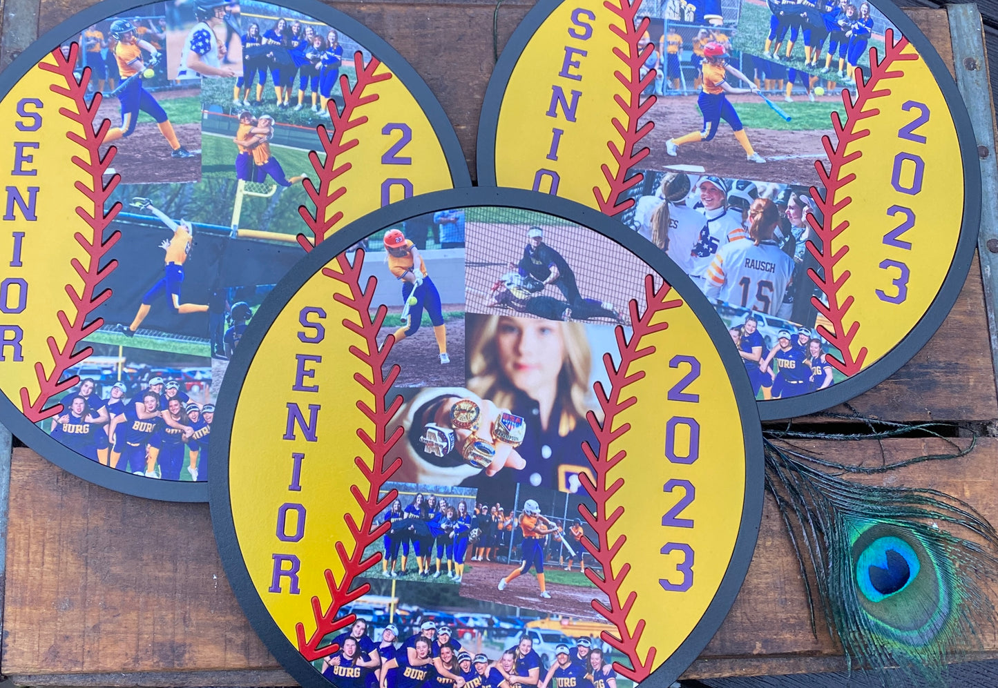 Softball Sports Signs with Pictures